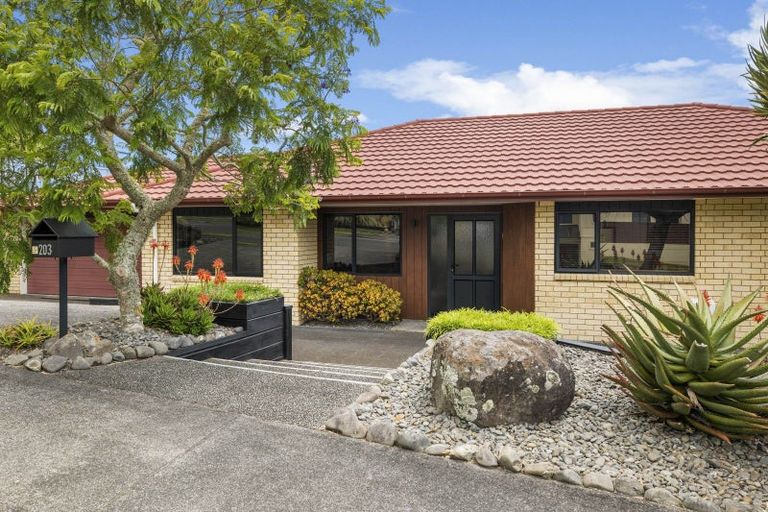 Photo of property in 203 Heta Road, Merrilands, New Plymouth, 4312