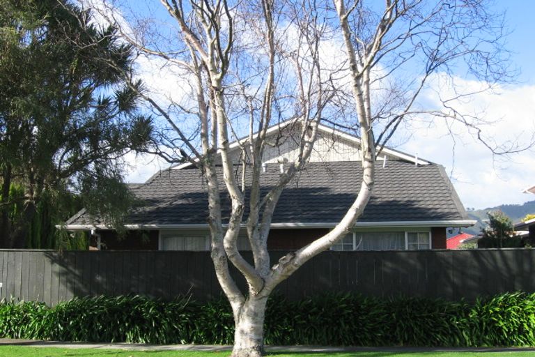 Photo of property in 18b Chesney Street, Avalon, Lower Hutt, 5011