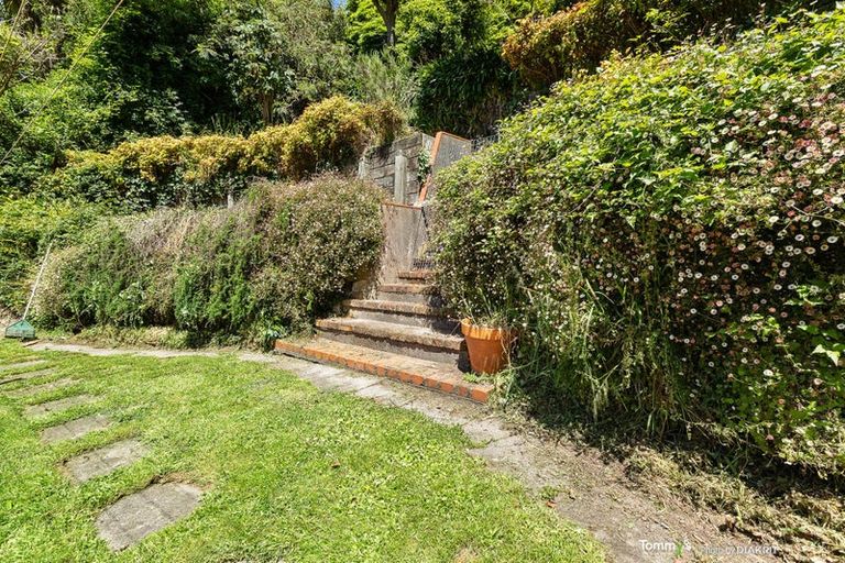 Photo of property in 17 Northland Road, Northland, Wellington, 6012