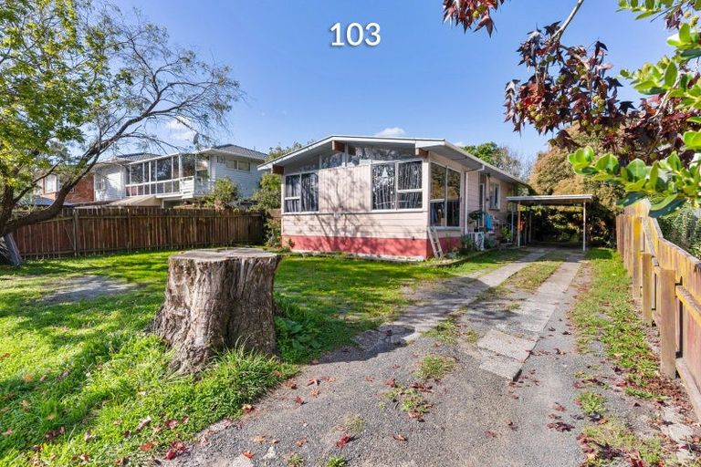 Photo of property in 103 Sunnynook Road, Forrest Hill, Auckland, 0620