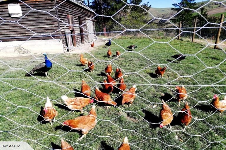 Photo of property in 967 Leader Road West, Waiau, Cheviot, 7384