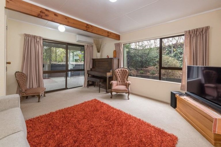 Photo of property in 203a Collingwood Street, Nelson, 7010