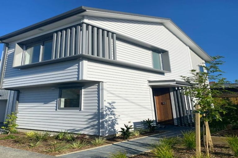 Photo of property in 48a Lyttelton Avenue, Forrest Hill, Auckland, 0620