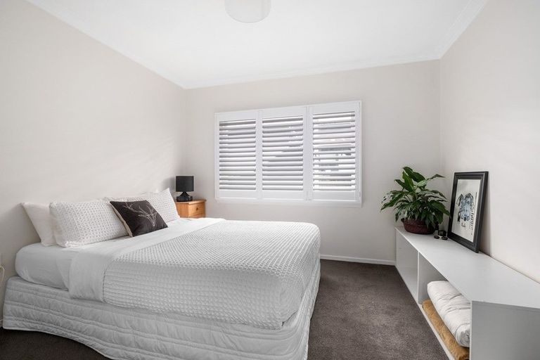 Photo of property in 51 Campbell Road, Mount Maunganui, 3116