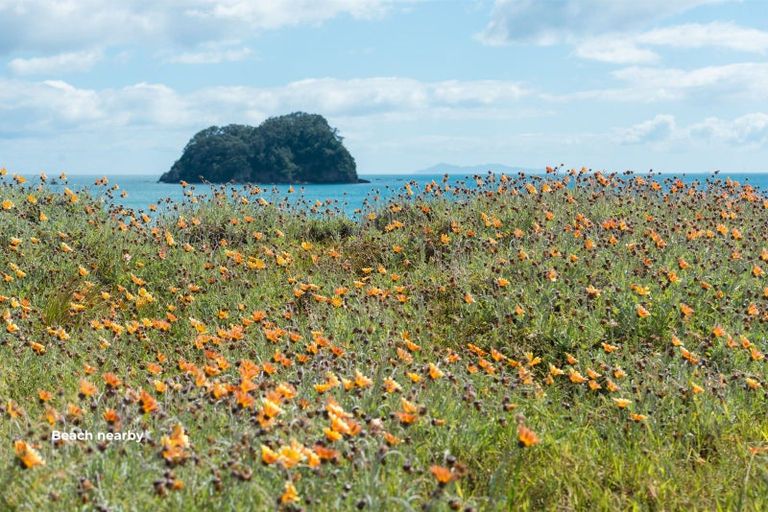 Photo of property in 9 Grove Avenue, Mount Maunganui, 3116