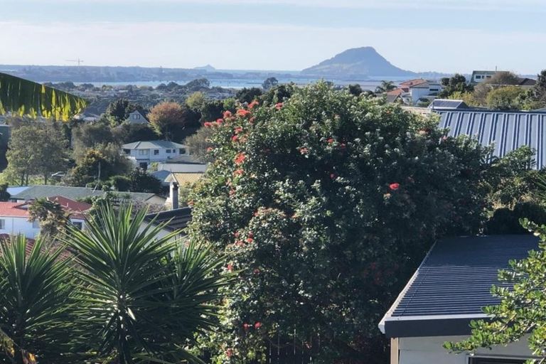 Photo of property in 58 Osprey Drive, Welcome Bay, Tauranga, 3112