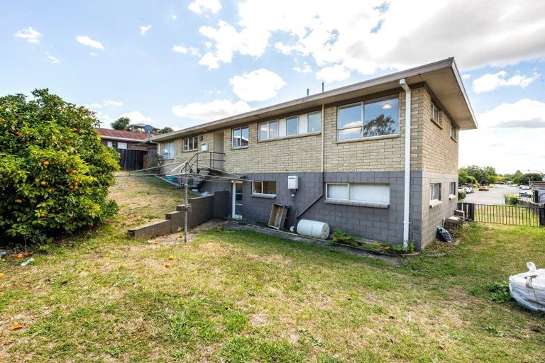 Photo of property in 66 Hazelwood Avenue, Dinsdale, Hamilton, 3204