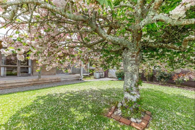 Photo of property in 382 Kimberley Road, Levin, 5571