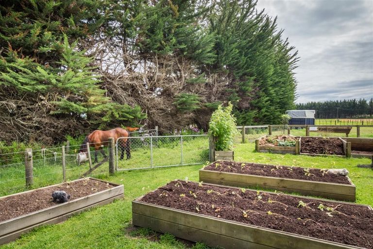 Photo of property in 778 Brandon Hall Road, Santoft, Bulls, 4894