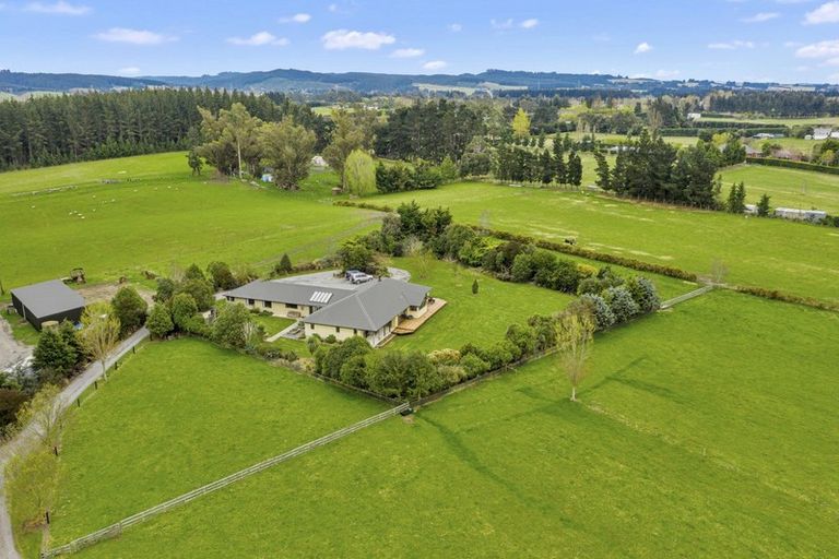 Photo of property in 167 Marshmans Road, Ashley, Rangiora, 7477