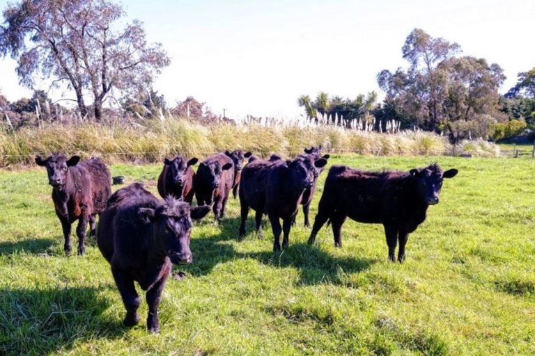 Photo of property in 166 Amberley Beach Road, Amberley, 7481