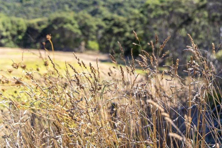 Photo of property in 1223 Old North Road, Helensville, 0875