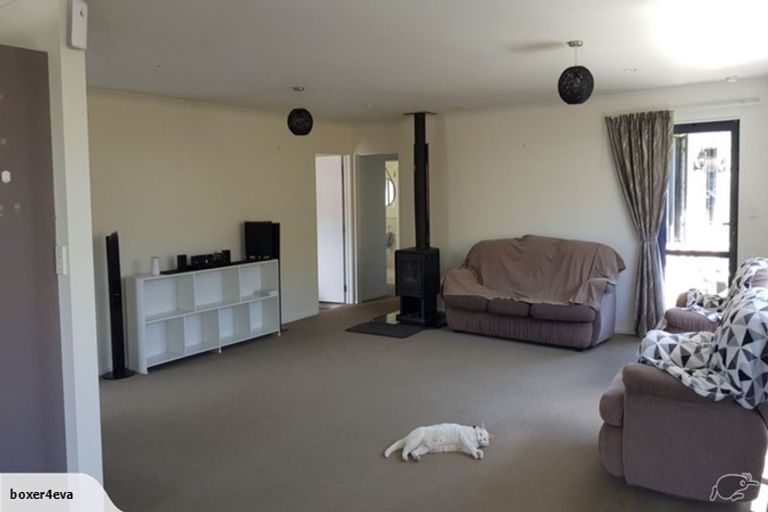 Photo of property in 4 Gascoigne Street, Riversdale, Blenheim, 7201