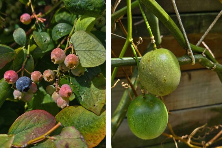 Photo of property in 39a Harvey Street, Tauranga South, Tauranga, 3112