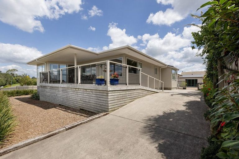 Photo of property in 51 Hampton Terrace, Parkvale, Tauranga, 3112
