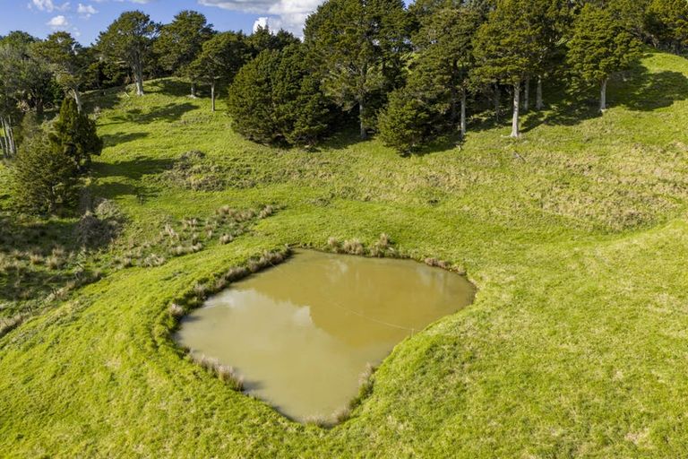 Photo of property in 1782 State Highway 12, Paparoa, 0571