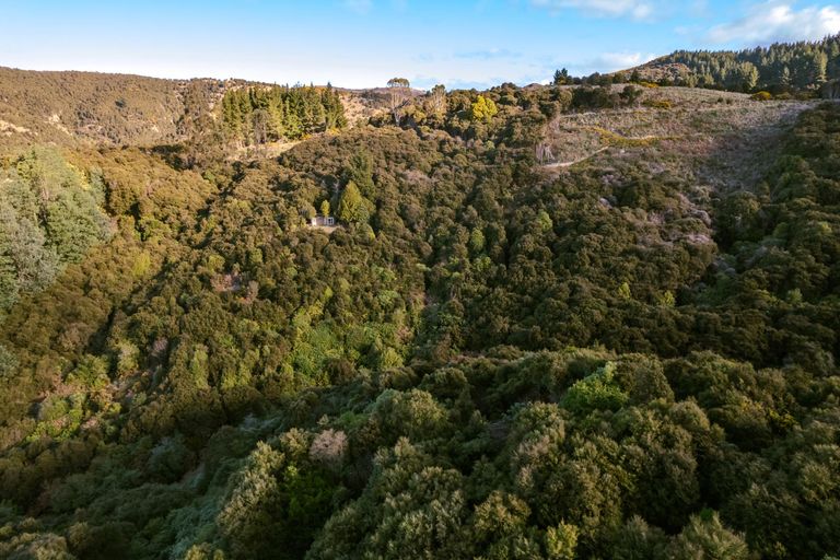 Photo of property in 24 Duncan Road, St Andrews, Hamilton, 3200