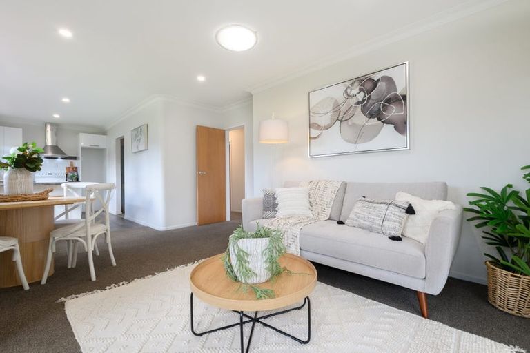 Photo of property in 28 Woods Avenue, Matua, Tauranga, 3110