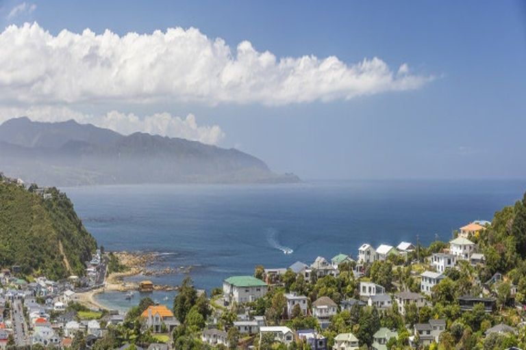 Photo of property in 52 Frobisher Street, Island Bay, Wellington, 6023