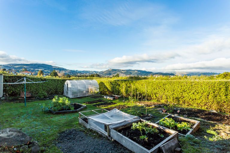 Photo of property in 114 Lynn Street, Wakari, Dunedin, 9010