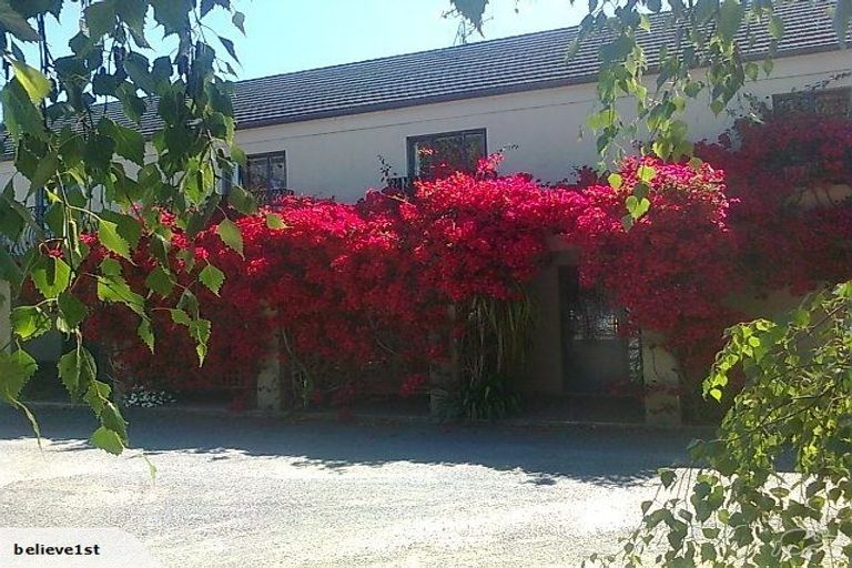 Photo of property in 84 Alpha Street, Cambridge, 3434