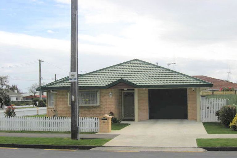 Photo of property in 26 Devon Street, Levin, 5510
