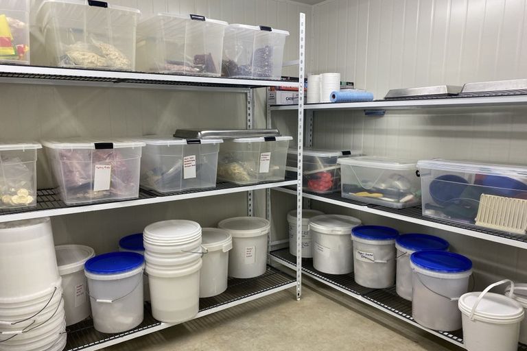 Photo of property in 214 Kawiu Road, Levin, 5510