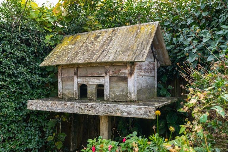 Photo of property in 51c Byron Street, Leamington, Cambridge, 3432