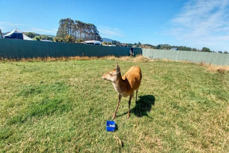 Photo of property in 5 Mcfeely Street, Tuatapere, 9620
