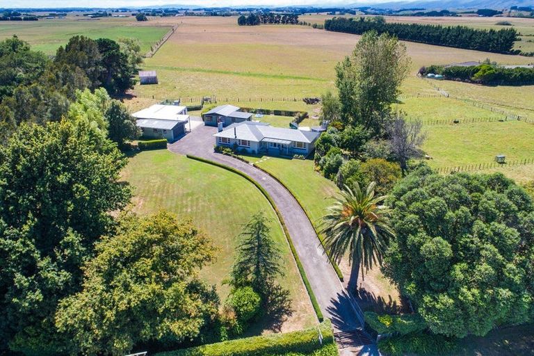 Photo of property in 279 Colyton Road, Colyton, Feilding, 4775