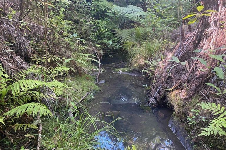 Photo of property in 1329 Hibiscus Coast Highway, Puhoi, Warkworth, 0994