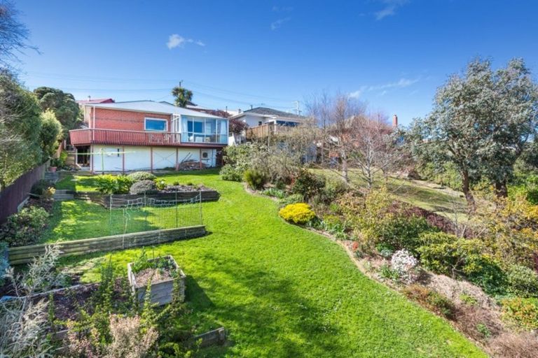 Photo of property in 46 Tomahawk Road, Andersons Bay, Dunedin, 9013