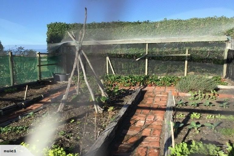 Photo of property in 636 Claverley Road, Hundalee, Cheviot, 7384