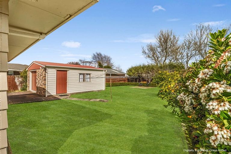 Photo of property in 53 Treadwell Street, Springvale, Whanganui, 4501
