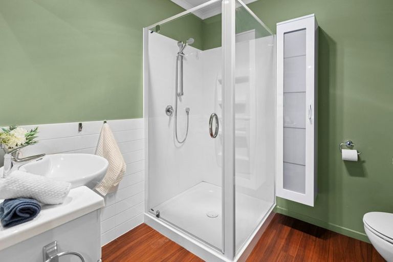 Photo of property in 54e Willoughby Street, Whitiora, Hamilton, 3200