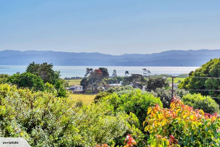 Photo of property in 115 Wallace Road, Mangere Bridge, Auckland, 2022