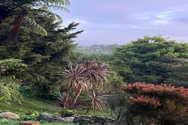 Photo of property in 1314 Wairamarama Onewhero Road, Onewhero, Tuakau, 2697