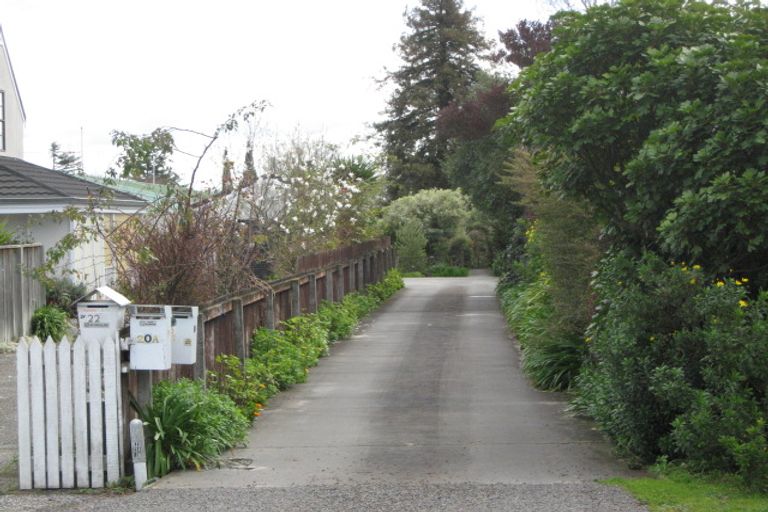 Photo of property in 20a Middle Road, Havelock North, 4130