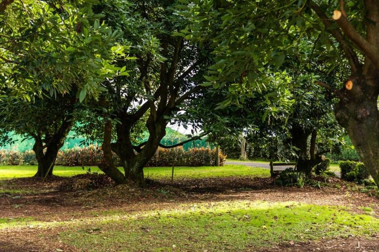 Photo of property in 204e Beach Road, Katikati, 3178