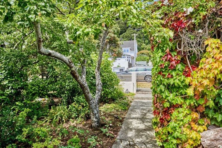 Photo of property in 17 Mahoe Street, Eastbourne, Lower Hutt, 5013