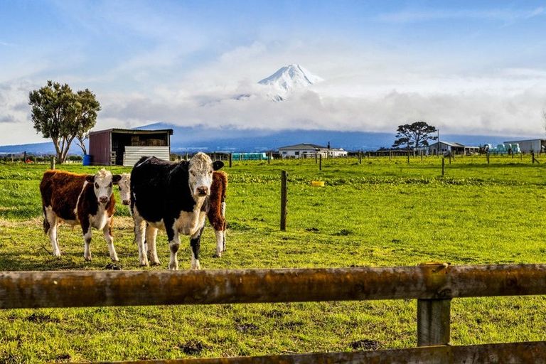 Photo of property in 183 Boylan Road, Te Roti, Hawera, 4673