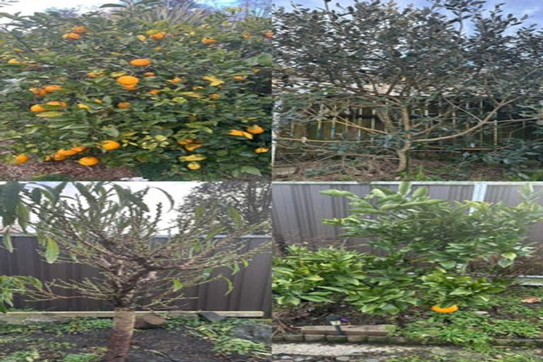 Photo of property in 65 Massey Street, Kawerau, 3127