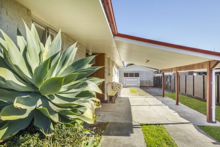 Photo of property in 33 Mcgregor Street, Milson, Palmerston North, 4414