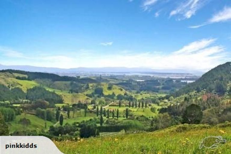 Photo of property in 415 Rocky Cutting Road, Waitao, Tauranga, 3175