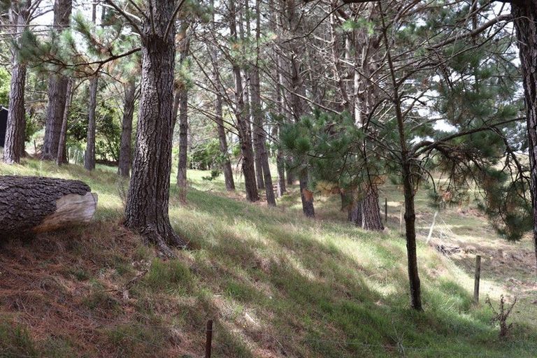 Photo of property in 178 Wilton Collieries Road, Glen Massey, Ngaruawahia, 3794