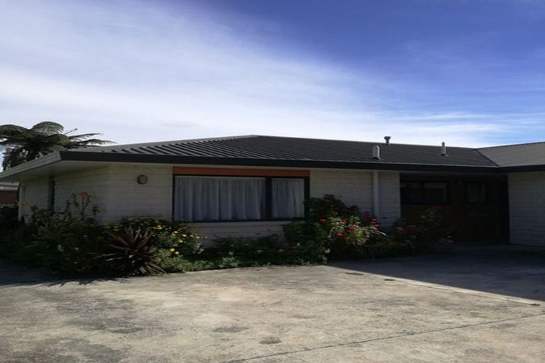 Photo of property in 32 Salisbury Street, Levin, 5510