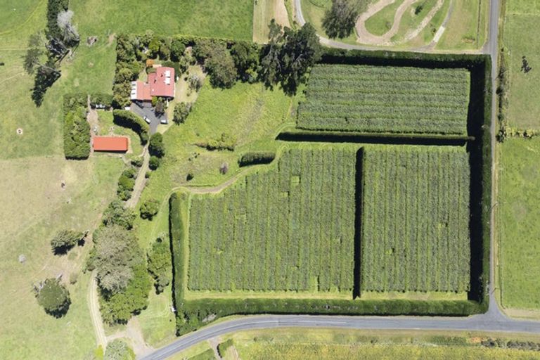 Photo of property in 250 Taurangaruru Road, Karioitahi, Waiuku, 2683