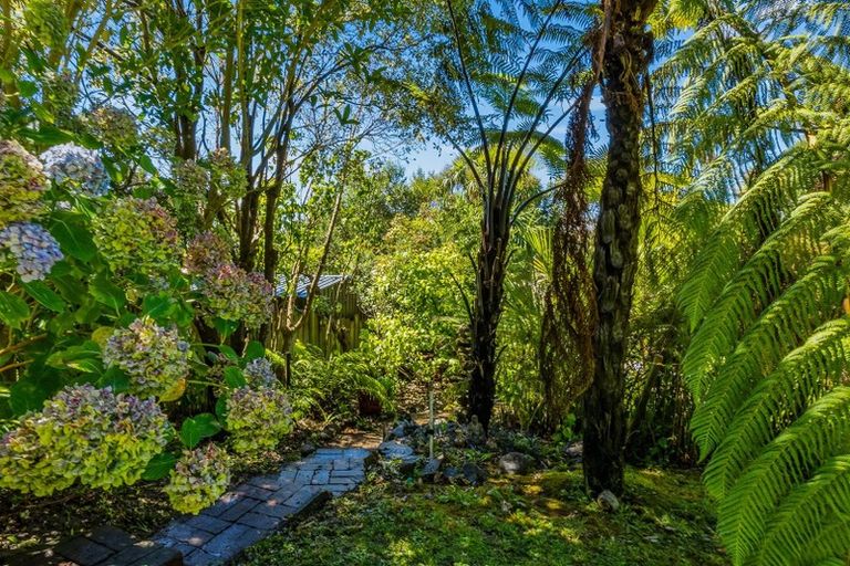 Photo of property in 56 Kotuku Street, Elsdon, Porirua, 5022