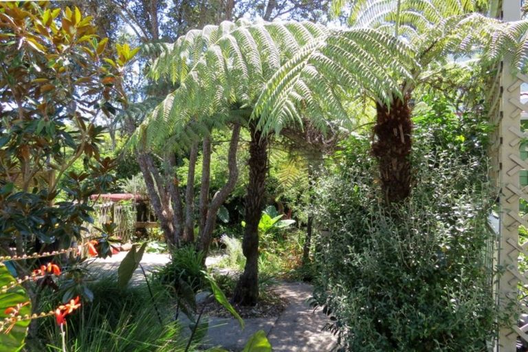 Photo of property in 25b Frederick Street, Coromandel, 3506