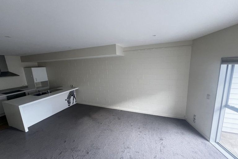 Photo of property in 3ul Papawai Terrace, Mount Cook, Wellington, 6021